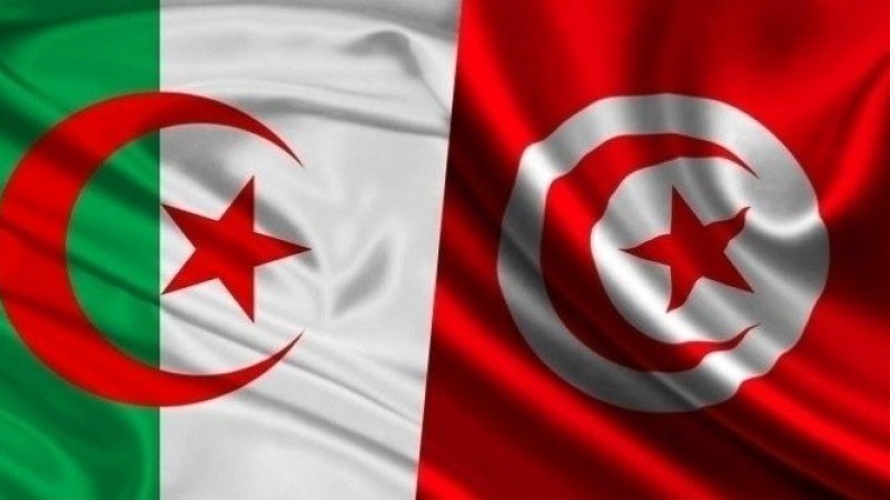 خاص : وفد تونسي يتحول إلى الجزائر للتفاوض حول حصة تونس من الغاز