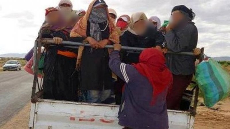 ندوة في سيدي بوزيد لتعزيز وحماية حقوق العاملات في القطاع الفلاحي كشريكات في الحوار الاجتماعي