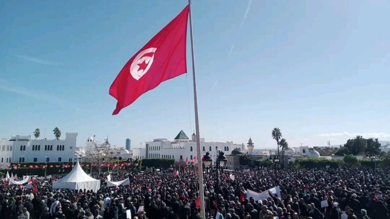 تجمع 2 مارس : الزيتون لا يموت