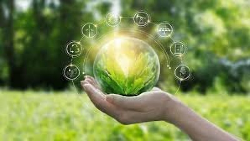 الاستراتيجية الوطنية للتنوع البيولوجي : البحث عن مصادر تمويل واكثر من 10 الاف هكتار محروقة تستعاد بفعل التساقطات