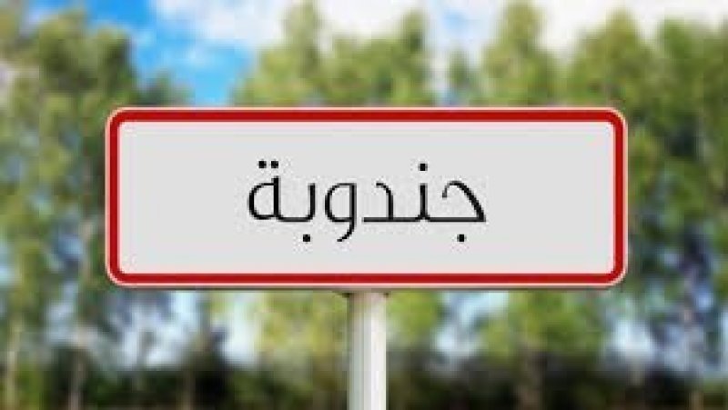 تصعيد نقابي في قطاع المياه بجندوبة على خلفية "هرسلة" إطار نسائي ورفض الحوار