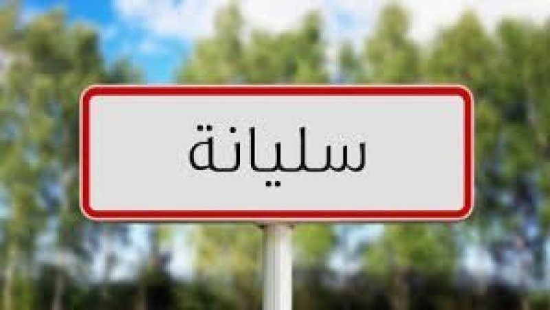 غدا في سليانة : تقييم المفاوضات والاستعداد لإضراب 17 جويلية في قطاع الفلاحة