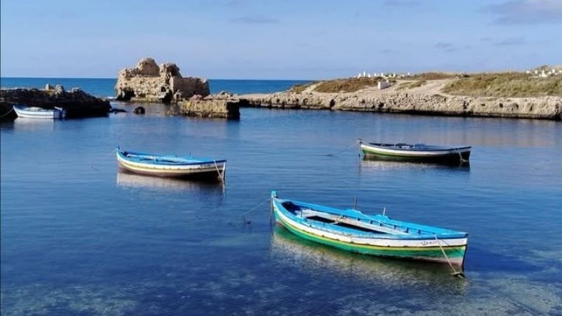 طقس اليوم الأربعاء : غائم جزئيا في قطاع غزة و صاف في تونس