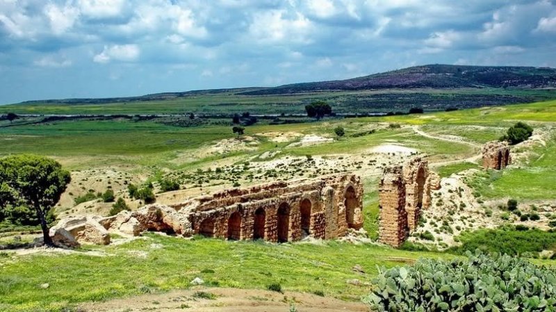 طقس اليوم الخميس : صاف في قطاع غزة و أمطار مؤقتا رعدية في تونس