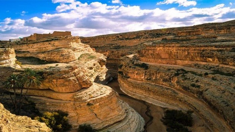 طقس اليوم الإثنين : غائم جزئيا في قطاع غزة و صاف في تونس