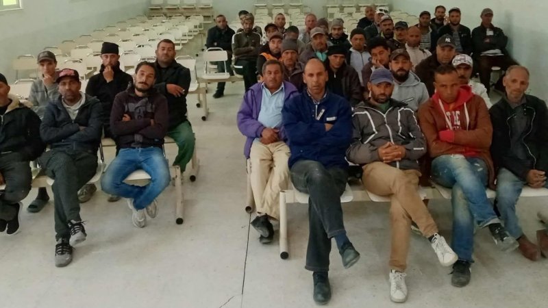 القصرين : تأخر صرف اجور عاملات وعمال ديوان الأراضي الدولية وادي الدرب المسترسلين والعرضيين