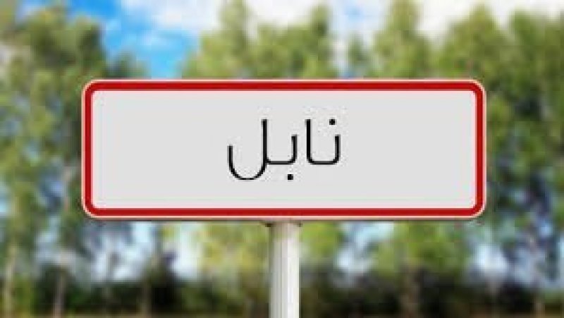 إتحاد نابل يحذر من انفجار اجتماعي جهوي ويدعو إلى فتح حوار عاجل مع الأطراف الاجتماعية دون إقصاء أو شروط مسبقة