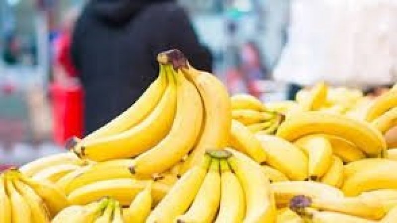 حسب وكالة " نوفا" الإيطالية : اختفاء الموز من المتاجر الكبرى والمستهلكون يوجهون أصابع الاتهام إلى شبكات التهريب