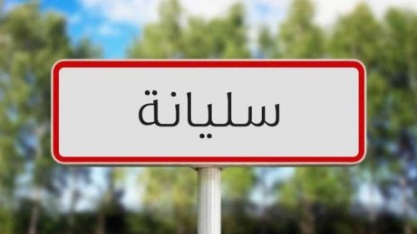 سليانة: تنفيذ حملات للتصدي للاعتداءات على الملك العمومي للمياه