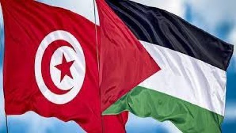 تونس : قافلة برية شعبية تنطلق نحو غزة لكسر الحصار يوم 14 جوان المقبل