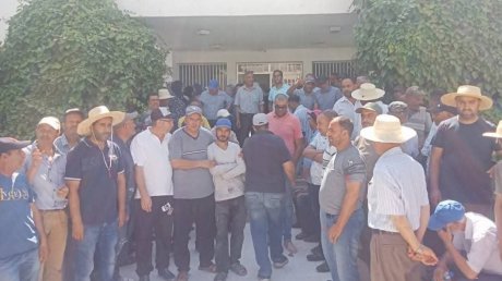 احتجاجات عمال الفلاحة تتواصل، فهل يلتزم الوزير بحضور المفاوضات وتنقية المناخ الاجتماعي ؟