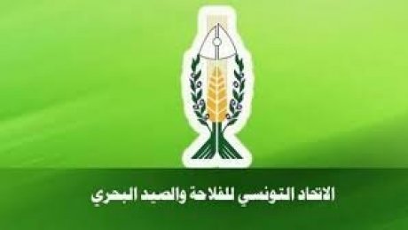 بداية من الغد الخميس : موظفو الاتحاد التونسي للفلاحة والصيد البحري ينفذون اضرابا عاما مفتوحا عن العمل