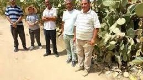 هنشير الورغي " في ولاية القصرين : مسلك فلاحي معطّل منذ الاستعمار وأهالٍ بين حلم مفقود وواقع قاس "