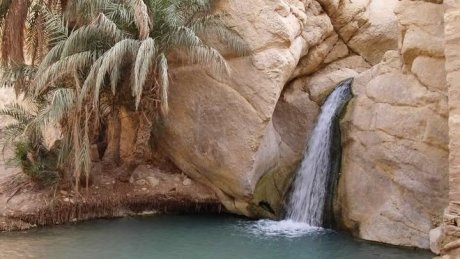 طقس اليوم السبت : شديد الحرارة في قطاع غزة و أمطار متفرقة مؤقتا رعدية في تونس