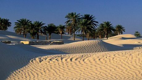 طقس اليوم السبت :صاف في قطاع غزة و أمطار غزيرة في تونس