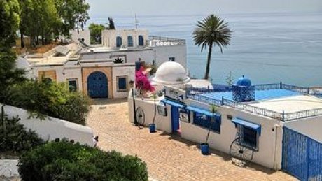 طقس اليوم الأحد : غائم جزئيا في قطاع غزة و تونس