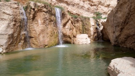 طقس اليوم الخميس : صاف في قطاع غزة و أمطار متفرقة في تونس