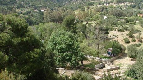 طقس اليوم الأربعاء : مغيم جزئيا في قطاع غزة و أمطار غزيرة مؤقتا رعدية في تونس