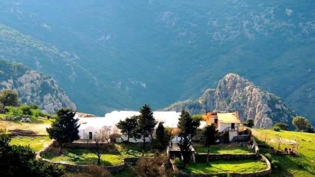 طقس اليوم الإثنين : أمطار غزيرة في قطاع غزة و تونس