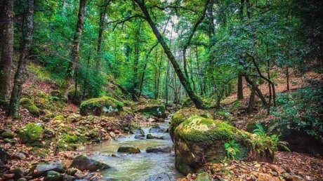 طقس اليوم السبت : غائم جزئيا في قطاع غزة و أمطار غزيرة في تونس