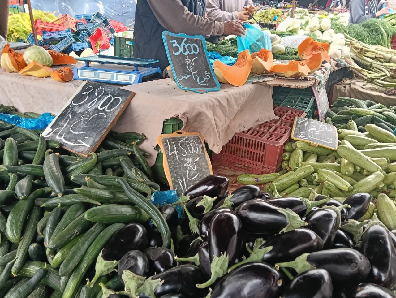 WhatsApp Image 2026-04-12 at 2.26.32 PM